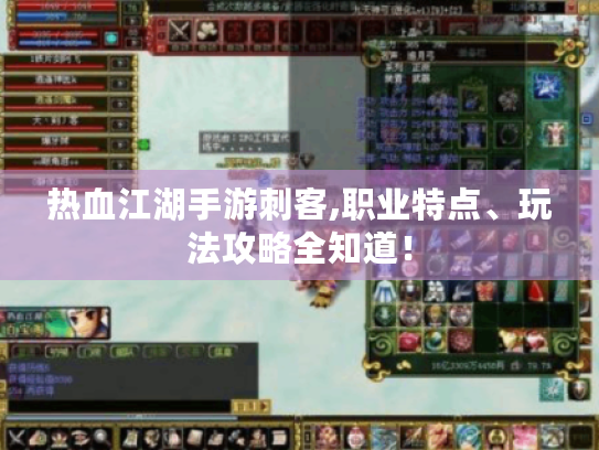 热血江湖手游刺客,职业特点、玩法攻略全知道! 热血江湖手游刺客,职业特点、玩法攻略全知道!