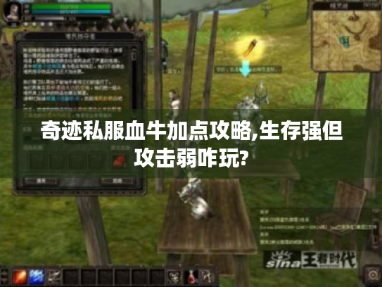 奇迹私服血牛加点攻略,生存强但攻击弱咋玩? 奇迹私服血牛加点攻略,生存强但攻击弱咋玩?
