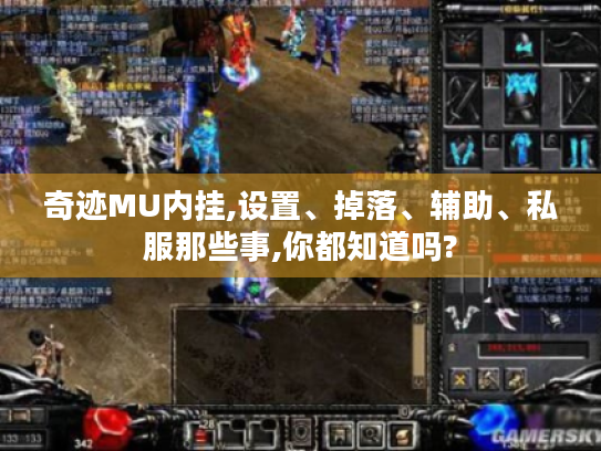 奇迹MU内挂,设置、掉落、辅助、私服那些事,你都知道吗? 奇迹MU内挂,设置、掉落、辅助、私服那些事,你都知道吗?