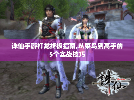诛仙手游打龙终极指南,从菜鸟到高手的5个实战技巧 诛仙手游打龙终极指南,从菜鸟到高手的5个实战技巧