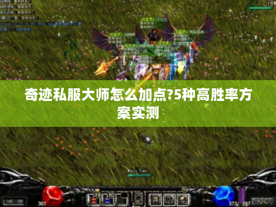 奇迹私服大师怎么加点?5种高胜率方案实测 奇迹私服大师怎么加点?5种高胜率方案实测