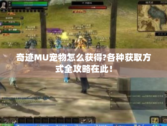 奇迹MU宠物怎么获得?各种获取方式全攻略在此! 奇迹MU宠物怎么获得?各种获取方式全攻略在此!