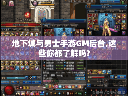 地下城与勇士手游GM后台,这些你都了解吗?