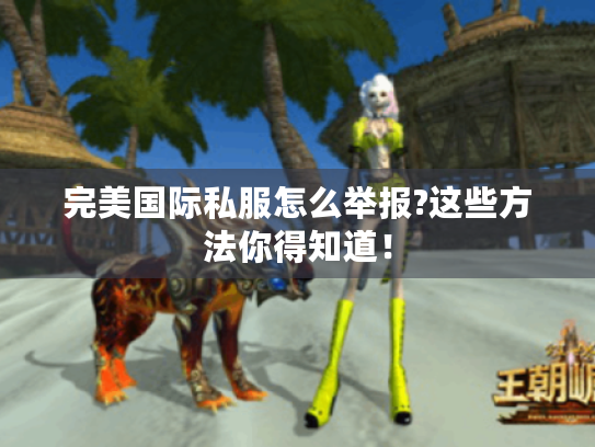 完美国际私服怎么举报?这些方法你得知道! 完美国际私服怎么举报?这些方法你得知道!