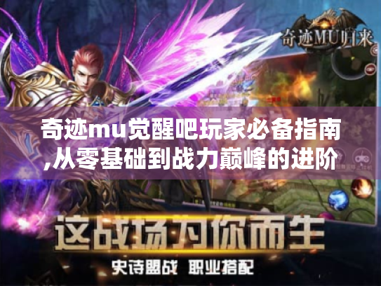 奇迹mu觉醒吧玩家必备指南,从零基础到战力巅峰的进阶秘籍