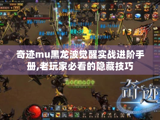 奇迹mu黑龙波觉醒实战进阶手册,老玩家必看的隐藏技巧
