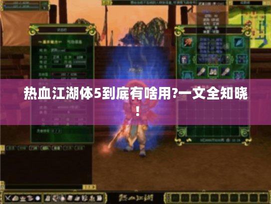 热血江湖体5到底有啥用?一文全知晓! 热血江湖体5到底有啥用?一文全知晓!