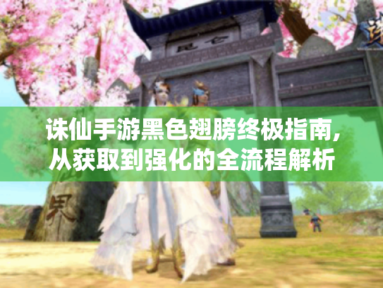 诛仙手游黑色翅膀终极指南,从获取到强化的全流程解析 诛仙手游黑色翅膀终极指南,从获取到强化的全流程解析