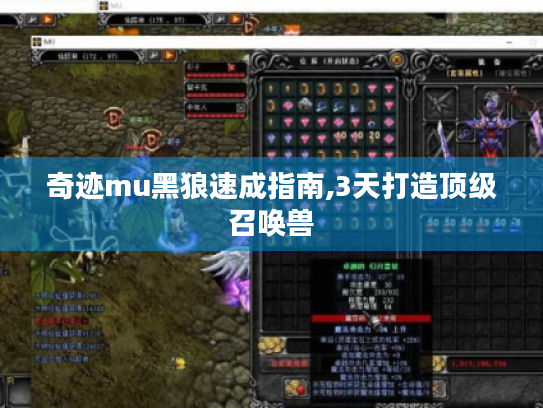 奇迹mu黑狼速成指南,3天打造顶级召唤兽 奇迹mu黑狼速成指南,3天打造顶级召唤兽
