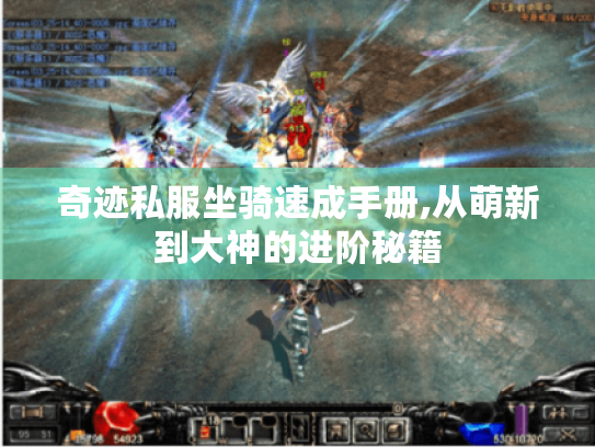 奇迹私服坐骑速成手册,从萌新到大神的进阶秘籍 奇迹私服坐骑速成手册,从萌新到大神的进阶秘籍