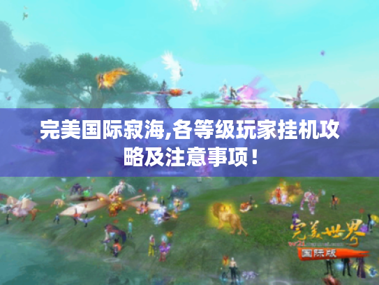 完美国际寂海,各等级玩家挂机攻略及注意事项! 完美国际寂海,各等级玩家挂机攻略及注意事项!