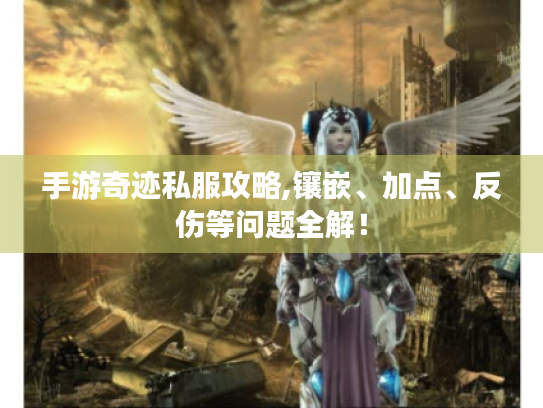 手游奇迹私服攻略,镶嵌、加点、反伤等问题全解! 手游奇迹私服攻略,镶嵌、加点、反伤等问题全解!