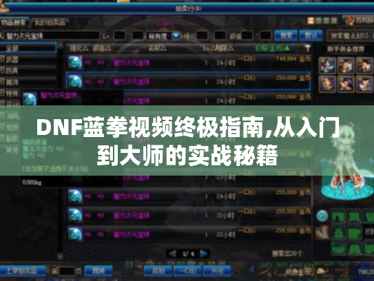 DNF蓝拳视频终极指南,从入门到大师的实战秘籍 DNF蓝拳视频终极指南,从入门到大师的实战秘籍