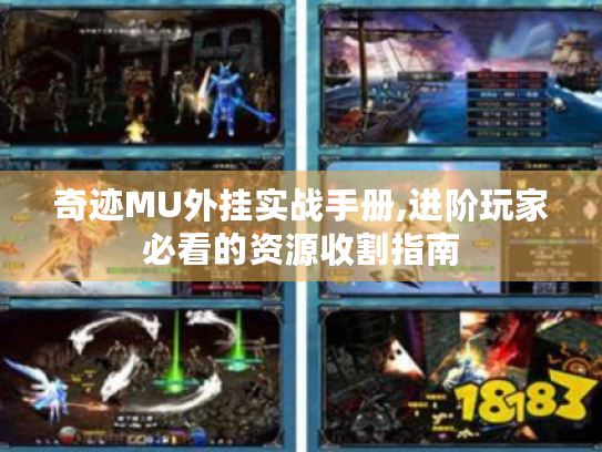 奇迹MU外挂实战手册,进阶玩家必看的资源收割指南 奇迹MU外挂实战手册,进阶玩家必看的资源收割指南