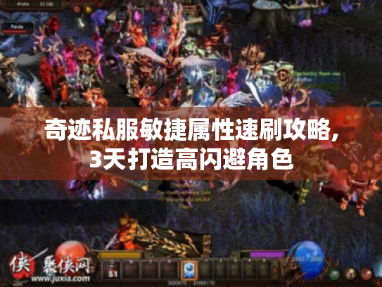奇迹私服敏捷属性速刷攻略,3天打造高闪避角色 奇迹私服敏捷属性速刷攻略,3天打造高闪避角色