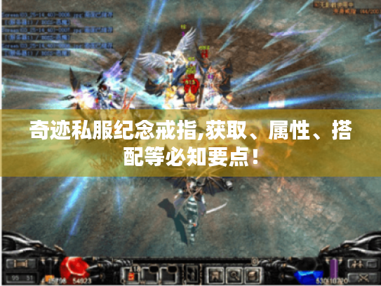 奇迹私服纪念戒指,获取、属性、搭配等必知要点! 奇迹私服纪念戒指,获取、属性、搭配等必知要点!