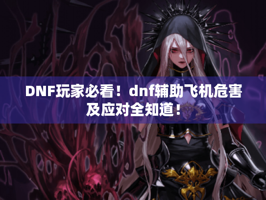 DNF玩家必看!dnf辅助飞机危害及应对全知道! DNF玩家必看!dnf辅助飞机危害及应对全知道!