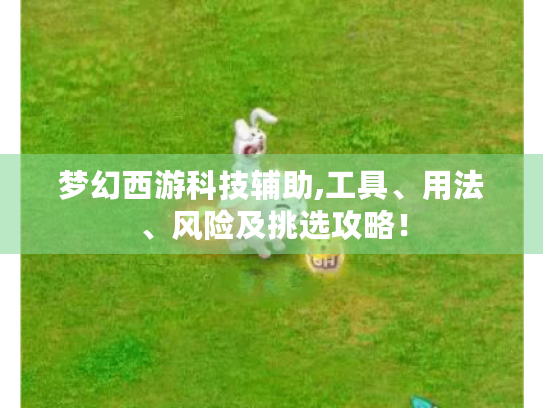 梦幻西游科技辅助,工具、用法、风险及挑选攻略! 梦幻西游科技辅助,工具、用法、风险及挑选攻略!