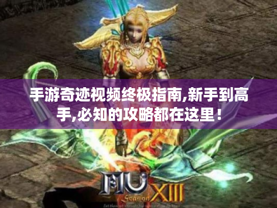 手游奇迹视频终极指南,新手到高手,必知的攻略都在这里! 手游奇迹视频终极指南,新手到高手,必知的攻略都在这里!