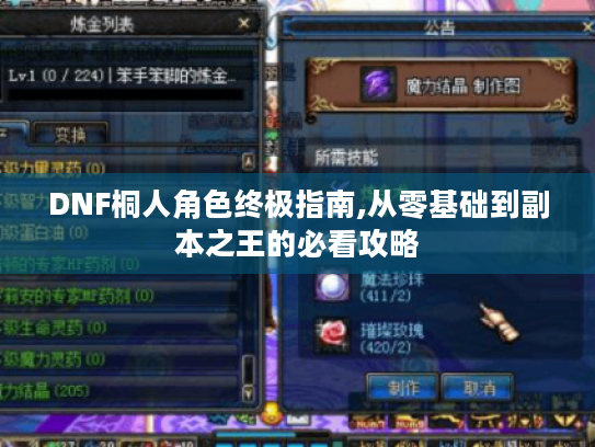 DNF桐人角色终极指南,从零基础到副本之王的必看攻略 DNF桐人角色终极指南,从零基础到副本之王的必看攻略