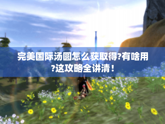 完美国际汤圆怎么获取得?有啥用?这攻略全讲清！