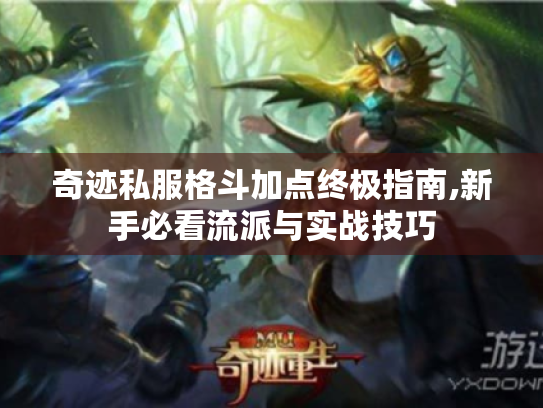 奇迹私服格斗加点终极指南,新手必看流派与实战技巧 奇迹私服格斗加点终极指南,新手必看流派与实战技巧
