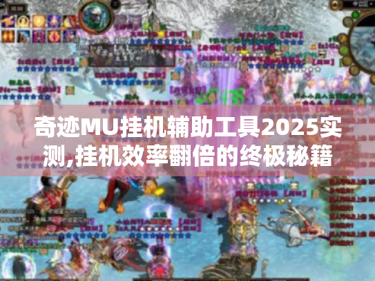 奇迹MU挂机辅助工具2025实测,挂机效率翻倍的终极秘籍 奇迹MU挂机辅助工具2025实测,挂机效率翻倍的终极秘籍