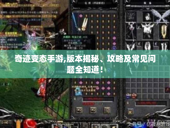 奇迹变态手游,版本揭秘、攻略及常见问题全知道! 奇迹变态手游,版本揭秘、攻略及常见问题全知道!