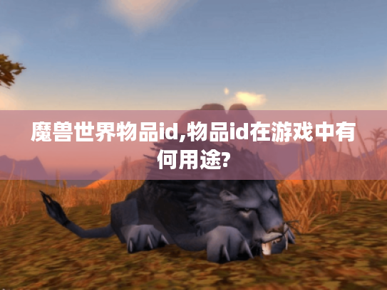 魔兽世界物品id,物品id在游戏中有何用途?