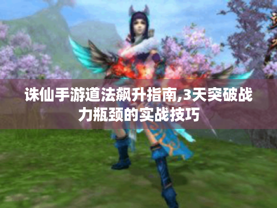 诛仙手游道法飙升指南,3天突破战力瓶颈的实战技巧