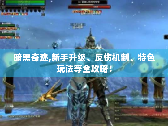 暗黑奇迹,新手升级、反伤机制、特色玩法等全攻略! 暗黑奇迹,新手升级、反伤机制、特色玩法等全攻略!