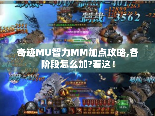 奇迹MU智力MM加点攻略,各阶段怎么加?看这！