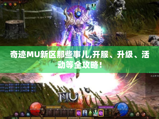 奇迹MU新区那些事儿,开服、升级、活动等全攻略! 奇迹MU新区那些事儿,开服、升级、活动等全攻略!