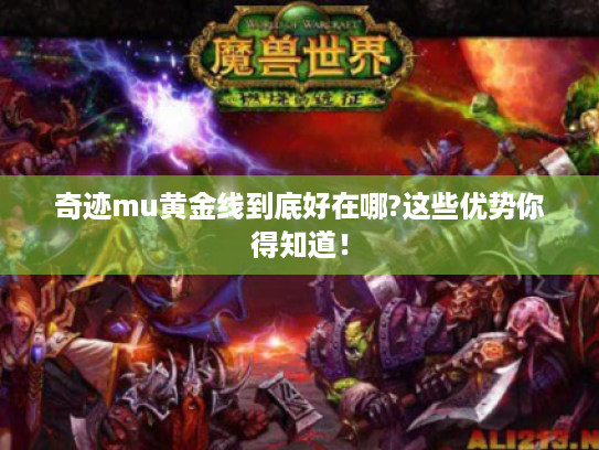 奇迹mu黄金线到底好在哪?这些优势你得知道! 奇迹mu黄金线到底好在哪?这些优势你得知道!