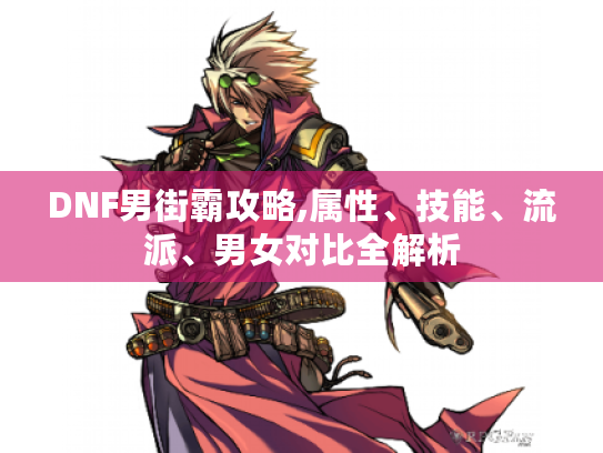 DNF男街霸攻略,属性、技能、流派、男女对比全解析 DNF男街霸攻略,属性、技能、流派、男女对比全解析