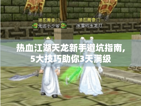 热血江湖天龙新手避坑指南,5大技巧助你3天满级
