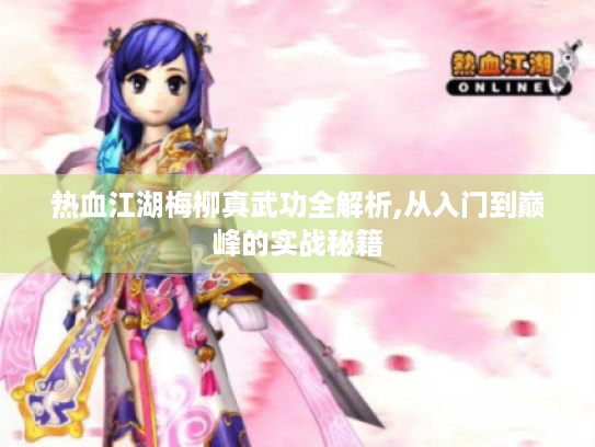 热血江湖梅柳真武功全解析,从入门到巅峰的实战秘籍