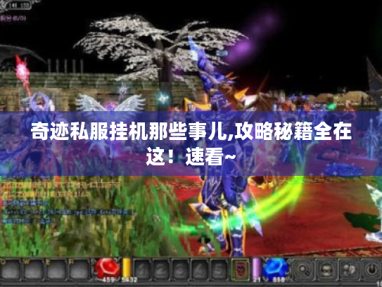 奇迹私服挂机那些事儿,攻略秘籍全在这!速看~ 奇迹私服挂机那些事儿,攻略秘籍全在这!速看~