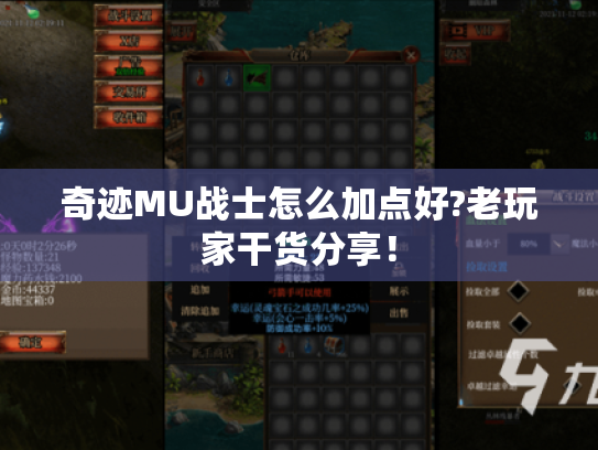 奇迹MU战士怎么加点好?老玩家干货分享! 奇迹MU战士怎么加点好?老玩家干货分享!