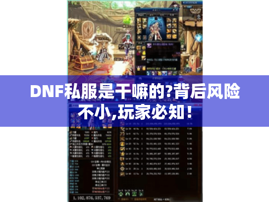 DNF私服是干嘛的?背后风险不小,玩家必知！