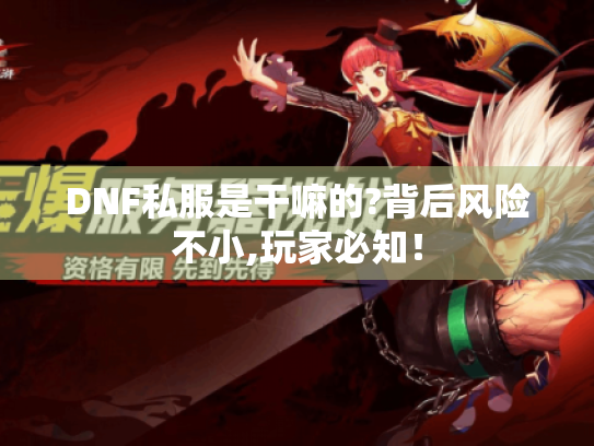 DNF私服是干嘛的?背后风险不小,玩家必知！