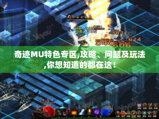 奇迹MU特色专区,攻略、问题及玩法,你想知道的都在这！