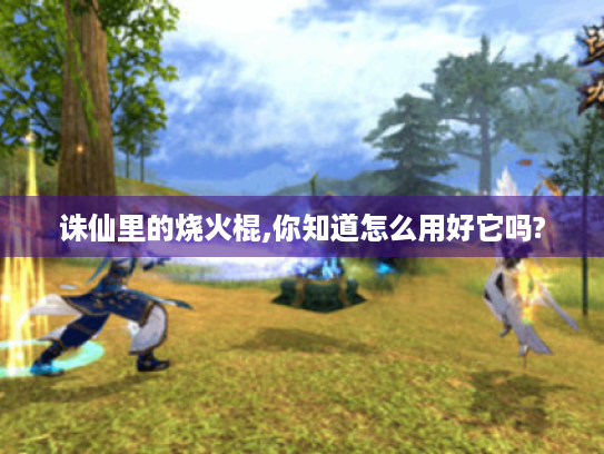 诛仙里的烧火棍,你知道怎么用好它吗? 诛仙里的烧火棍,你知道怎么用好它吗?