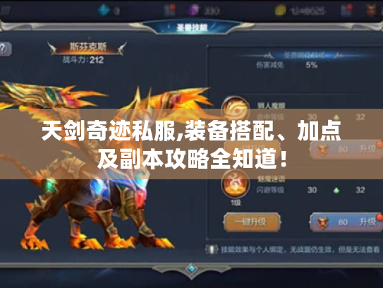 天剑奇迹私服,装备搭配、加点及副本攻略全知道! 天剑奇迹私服,装备搭配、加点及副本攻略全知道!