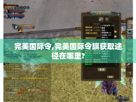 完美国际令,完美国际令旗获取途径在哪里?