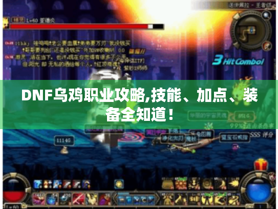 DNF乌鸡职业攻略,技能、加点、装备全知道! DNF乌鸡职业攻略,技能、加点、装备全知道!