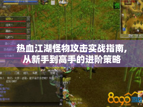 热血江湖怪物攻击实战指南,从新手到高手的进阶策略 热血江湖怪物攻击实战指南,从新手到高手的进阶策略