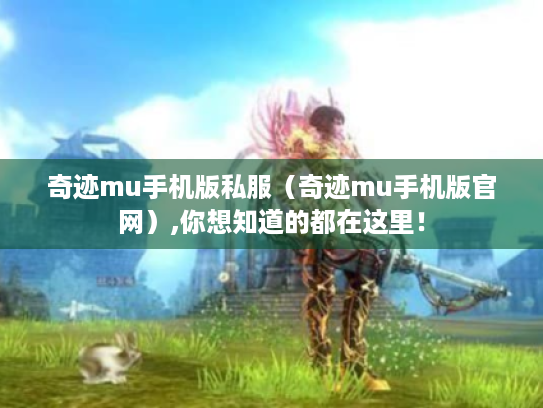 奇迹mu手机版私服(奇迹mu手机版官网),你想知道的都在这里! 奇迹mu手机版私服(奇迹mu手机版官网),你想知道的都在这里!