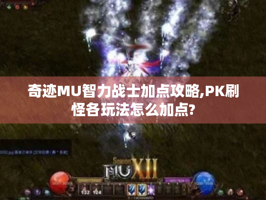 奇迹MU智力战士加点攻略,PK刷怪各玩法怎么加点? 奇迹MU智力战士加点攻略,PK刷怪各玩法怎么加点?