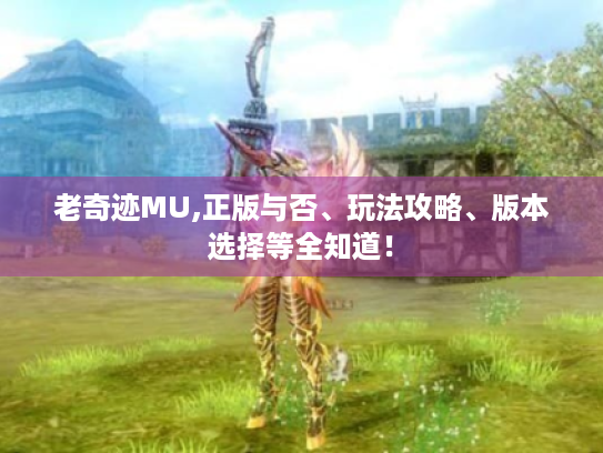 老奇迹MU,正版与否、玩法攻略、版本选择等全知道! 老奇迹MU,正版与否、玩法攻略、版本选择等全知道!